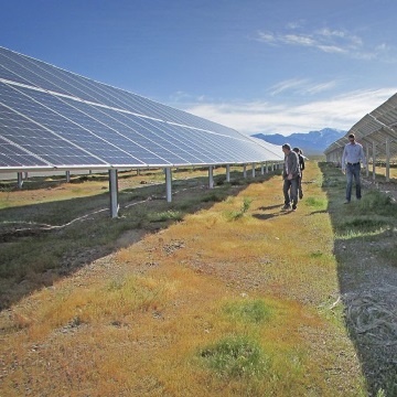 砂漠の太陽光農場で実際に向上させるために砂漠のタートルの生息地