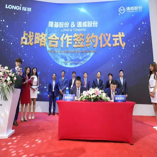 正式な署名！ tongweiの共同株式とlungjiの共同株式は15gw戦略的協力協定を締結