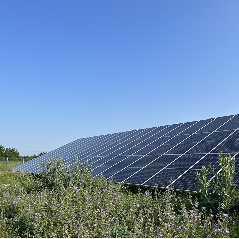 ブルガリアのBLUESUN 200KW太陽光発電システム
        